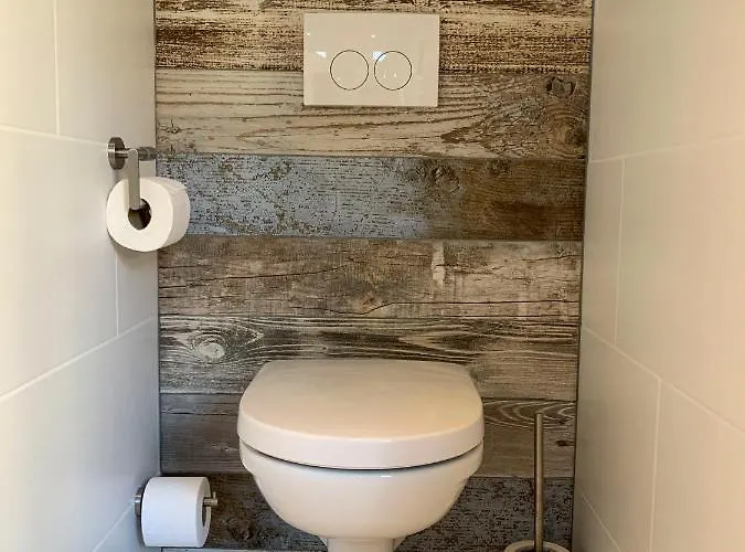 Pollux Bij Vuurtoren En Noordwijk