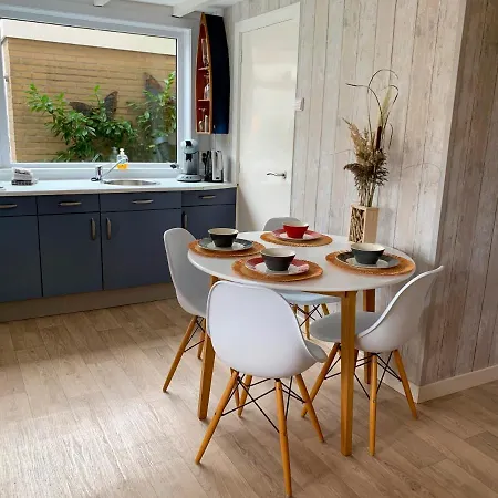 Pollux Bij Vuurtoren En Tatil Evi