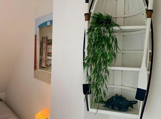 Pollux Bij Vuurtoren En Noordwijk